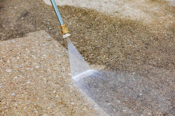 Best Animal Enclosure Cleaning  in Warroad, MN