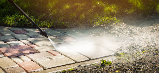 Best Oil Spill Cleanup  in Warroad, MN